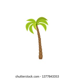 tree palm isolated icon