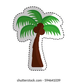 tree palm isolated icon