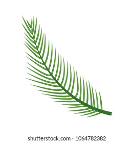 Tree Palm Leaft Exotic Icon