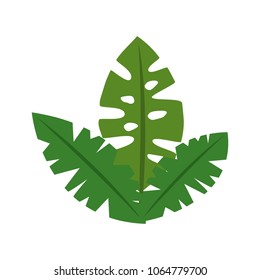 tree palm leafts exotics icon