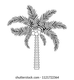 tree palm natural icon
