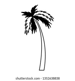 tree palm silhouette icon