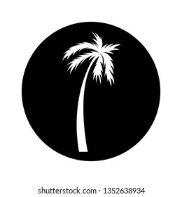 tree palm silhouette icon