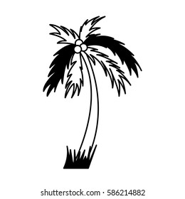 tree palm silhouette icon