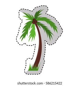 tree palm silhouette icon