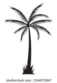tree palm silhouette style icon