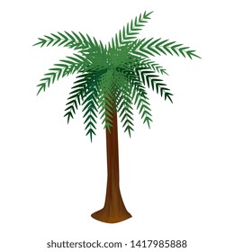 tree palm summer isolated icon