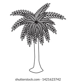 tree palm summer isolated icon