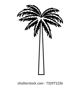 Tree palm symbol