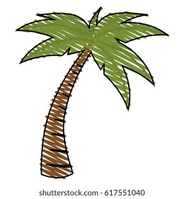 tree palm tropical icon