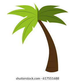tree palm tropical icon