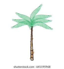 tree palm tropical icon