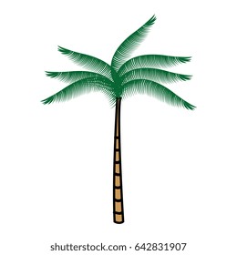 tree palm tropical icon