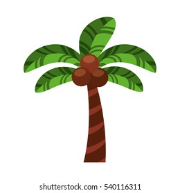 tree palm tropical icon vector illustration design