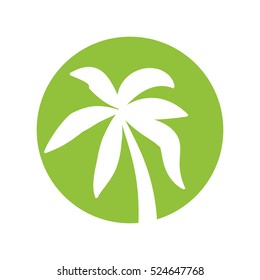 tree palm tropical isolated icon vector illustration design