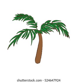 tree palm tropical isolated icon vector illustration design