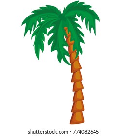 tree palm, vector illustration, isolated white background