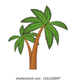 Tree palms isolated