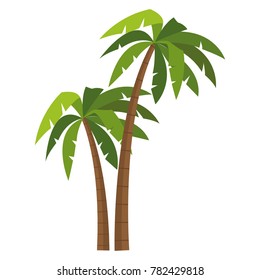 Tree palms isolated