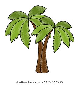 tree palms isolated icon
