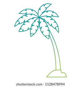 tree palms isolated icon