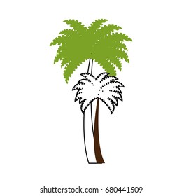 tree palms isolated icon