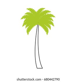 tree palms isolated icon