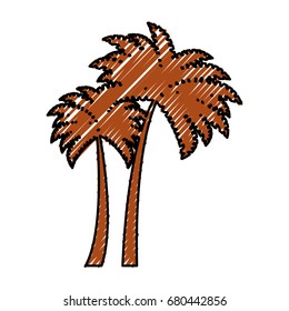 tree palms isolated icon