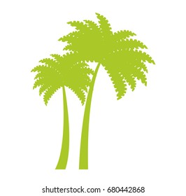 tree palms isolated icon