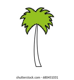 tree palms isolated icon