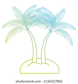 tree palms on the beach