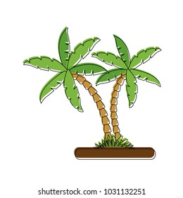 Tree palms on ground