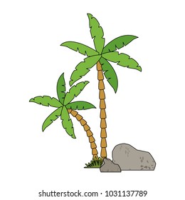 Tree palms with rocks