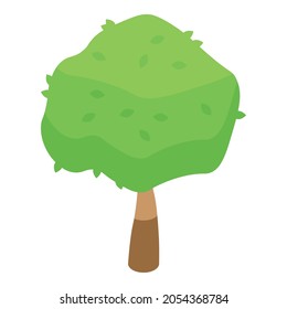 Tree paper icon. Isometric of Tree paper vector icon for web design isolated on white background