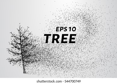 The tree of particles. The tree consists of small circles and dots