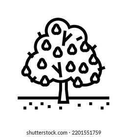 tree pear line icon vector. tree pear sign. isolated contour symbol black illustration