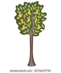 Tree with pears. Vector illustration