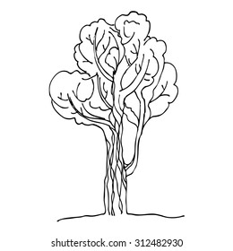 Tree pen and ink. Black and white sketch of a tree. Drawing by hand