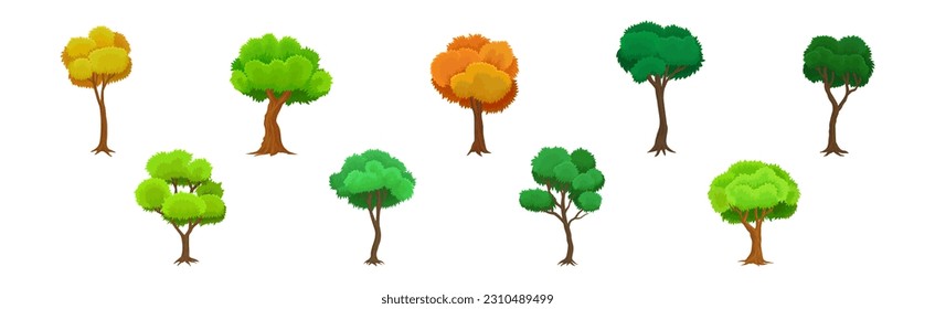 Tree as Perennial Plant with Trunk, Branches and Leaves Vector Illustration Set