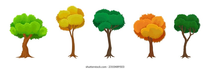 Tree as Perennial Plant with Trunk, Branches and Leaves Vector Illustration Set