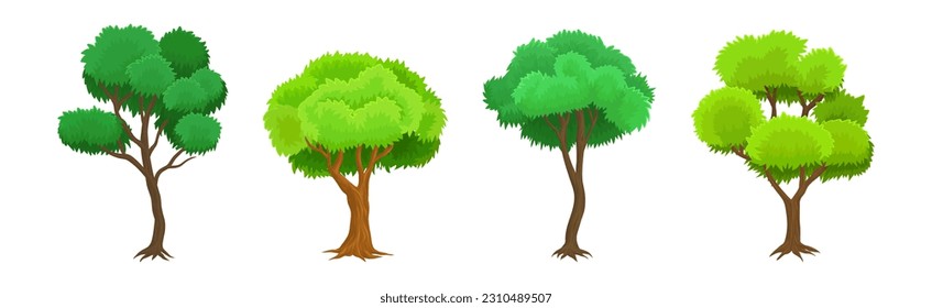 Tree as Perennial Plant with Trunk, Branches and Leaves Vector Illustration Set