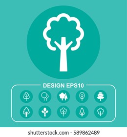Tree pictograph