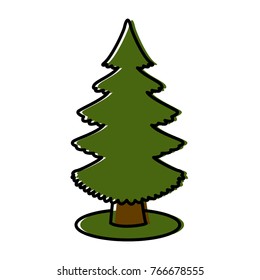 Tree pine isolated