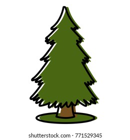 Tree pine isolated
