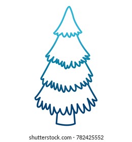 Tree pine isolated
