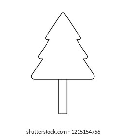 Tree pine isolated in black and white