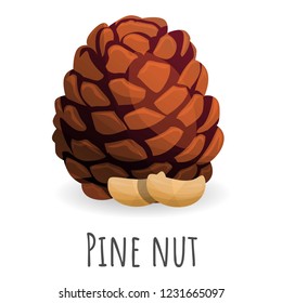 Tree pine nut icon. Cartoon of tree pine nut vector icon for web design isolated on white background