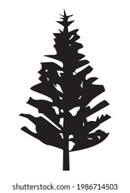 tree pine silhouette black style