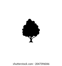 tree pine silhouette, cypress evergreen vector, cedar forest wood illustration, conifer tree logo template, tattoo design, white and black drawing illustration, icon tree template