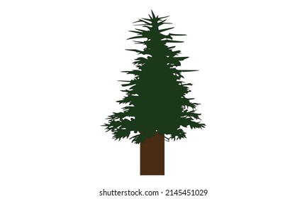 tree pine silhouette and green, cypress even green vector, cedar forest wood illustration, conifer tree logo template, tattoo design, white and black drawing illustration, icon tree template